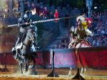 Kaltenberger Ritterturnier 2026 - Show/Turnier