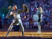 Kaltenberger Ritterturnier 2026 - Show/Turnier