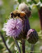 d160914-120157012-100-kampenwand-chiemsee
