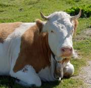 d160914-120251018-100-kampenwand-chiemsee