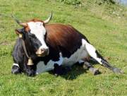 d160914-120332020-100-kampenwand-chiemsee