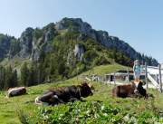 d160914-120717025-100-kampenwand-chiemsee