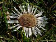 d160914-134344037-100-kampenwand-chiemsee