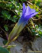 d160914-134415038-100-kampenwand-chiemsee