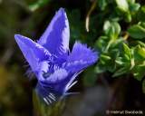 d160914-134552046-100-kampenwand-chiemsee