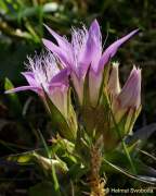 d160914-135450058-100-kampenwand-chiemsee