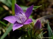 d160914-135644066-100-kampenwand-chiemsee