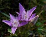 d160914-135711067-100-kampenwand-chiemsee