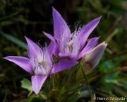 d160914-135711067-100-kampenwand-chiemsee