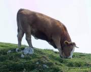 d160914-140656073-100-kampenwand-chiemsee