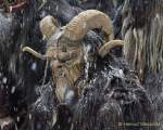d171210-143031-970-100-krampuslauf d171210-143031-970-100-krampuslauf