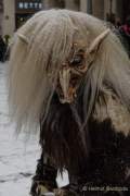 d171210-145101-270-100-krampuslauf