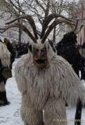 d171210-145314-000-100-krampuslauf