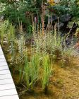 Bayerische Landesgartenschau Kirchheim 2024