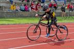 Ludwig Jall Sportfest 2023 Ludwig Jall Sportfest 2023