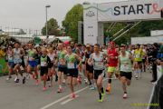 München Marathon 2025 - Marathonlauf + Halbmarathon