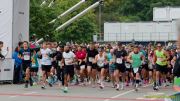 München Marathon 2025 - Marathonlauf + Halbmarathon