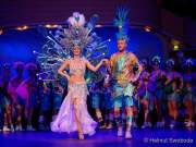 d200125-212029-670-100-metzgerball-hollaria