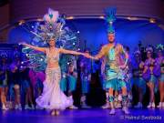 d200125-212047-330-100-metzgerball-hollaria