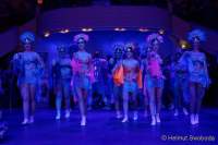 d200125-211556-140-100-metzgerball-hollaria