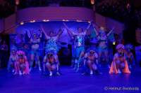 d200125-211711-140-100-metzgerball-hollaria