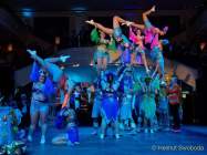 d200125-211850-920-100-metzgerball-hollaria