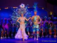 d200125-212029-670-100-metzgerball-hollaria