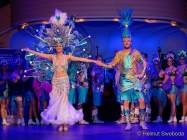 d200125-212047-330-100-metzgerball-hollaria