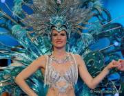 d200125-212439-480-100-metzgerball-hollaria