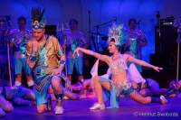 d200125-213239-710-100-metzgerball-hollaria