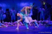 d200125-213251-360-100-metzgerball-hollaria