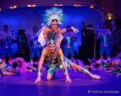 d200125-213256-670-100-metzgerball-hollaria