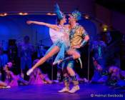 d200125-213311-060-100-metzgerball-hollaria