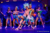 d200125-213446-320-100-metzgerball-hollaria