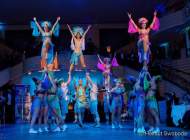 d200125-214032-380-100-metzgerball-hollaria