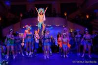 d200125-214509-900-100-metzgerball-hollaria