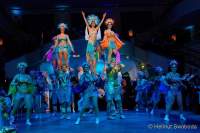 d200125-214530-310-100-metzgerball-hollaria