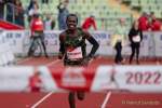Muenchen Marathon 2022
