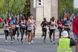 München Marathon 2023 - Marathonlauf + Halbmarathon
