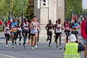 München Marathon 2023 - Marathonlauf + Halbmarathon