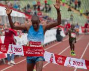 München Marathon 2023 - Marathonlauf + Halbmarathon
