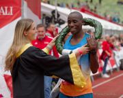 München Marathon 2023 - Marathonlauf + Halbmarathon