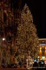 d181215-205445-035-100-muenchner_christkindlmarkt