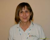 Münchner Wissenschaftstage mit dem Entdecker-Reich Forscha 2025 - Wissen live erleben