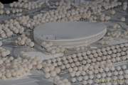 praesentation-siegerentwurf-sportarena-im-olympiapark-0130 praesentation-siegerentwurf-sportarena-im-olympiapark-0130