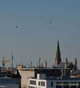 d190320-155557-000-100-name_der_multifunktionalen_sportarena d190320-155557-000-100-name_der_multifunktionalen_sportarena