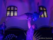 d190906-193752-140-100-nachtschwaermer