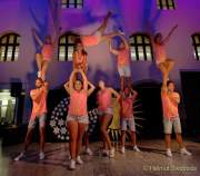 d190906-195402-200-100-nachtschwaermer