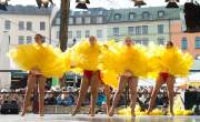 d180213-111502-700-r00-fasching_viktualienmarkt-narrhalla