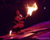 d170422-210342-840-100-night_of_the_jumps